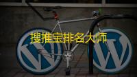 搜推宝排名大师